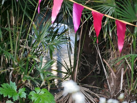 Fahnenkette vor Pflanzen in Bournemouth S&uuml;dengland