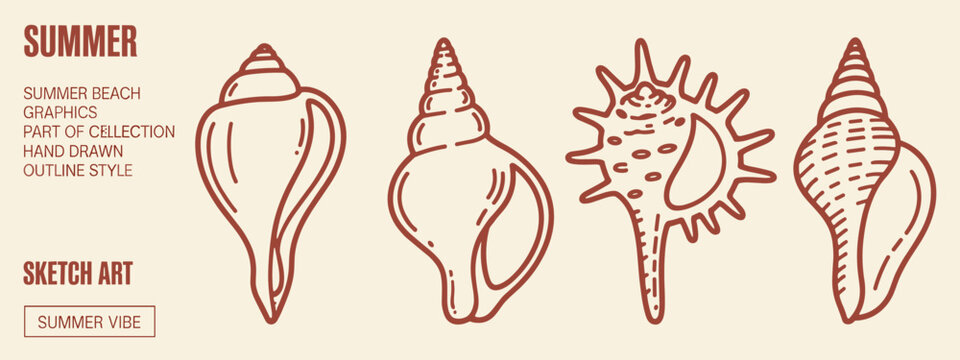 Four hand drawn outline style seashells in brown on a cream background conch spiral marine ocean