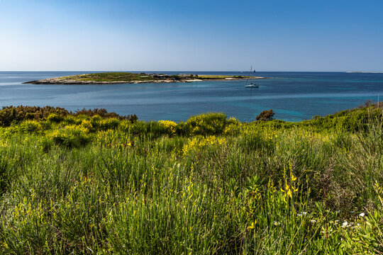 Levan Island Coastal Panorama with Mediterranean Landscape and Clear Adriatic Water