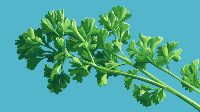 Digital illustration of a fresh green parsley sprig against a blue background