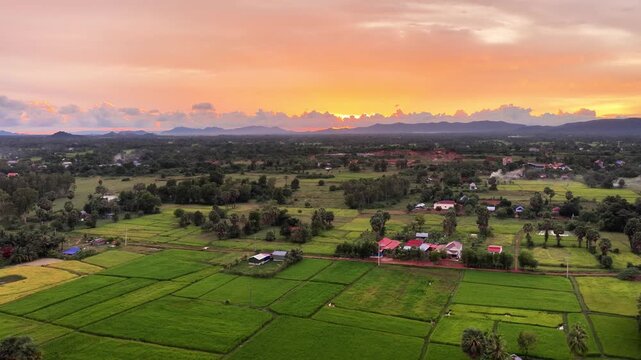 Beautiful rice fields next to limestone mountains in Kampot, Cambodia