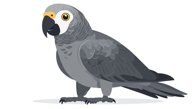 Illustration of a grey parrot with detailed feather textures and a dark beak