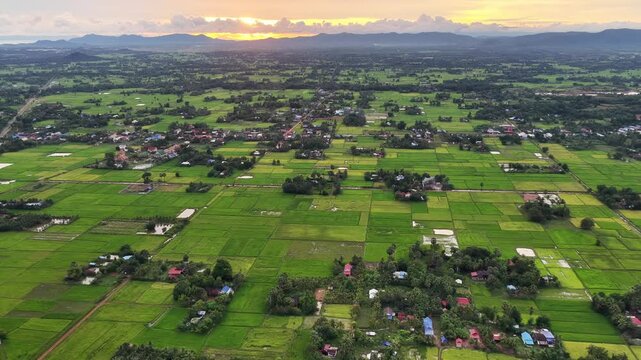 Beautiful rice fields next to limestone mountains in Kampot, Cambodia