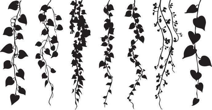 A series of seven black silhouette illustrations of cascading vines and branches, featuring detailed leaf structures and natural growth.
