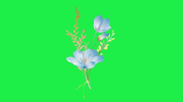 Blue floral bouquet on green screen background with soft leaves and delicate spring flowers for overlay animation AA