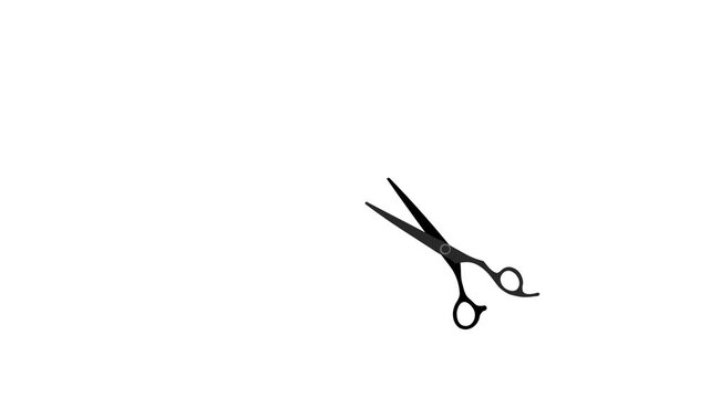 scissors on white background