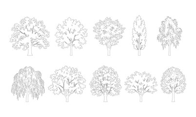 CAD line art deciduous and weeping willow tree side view elevation set, outline round oval and columnar canopy tree symbols for architectural landscape design plans. Editable stroke vector. © Muhammad