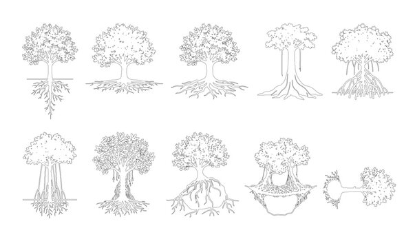 CAD line art tree with root system side view elevation set, outline banyan, mangrove and aerial root tree symbols for architectural landscape and ecological design plans. Editable stroke vector.