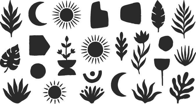 Black and white organic shapes pack botanical celestial and abstract elements
