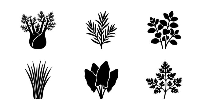 Herbs and Greens Icons: Culinary Plants, Fresh Ingredients, Vector Set