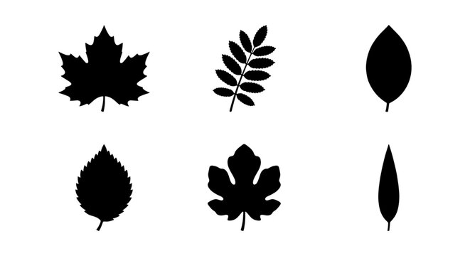 Black Leaf Silhouettes, Botanical Vector Icons, Nature Elements Set
