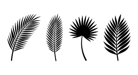 Fototapeta premium Tropical Palm Leaves, Vector Set: Exotic Foliage Silhouettes for Design