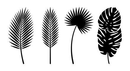 Fototapeta premium Tropical Leaf Silhouettes, Botanical Vector Elements, Exotic Plant Icons