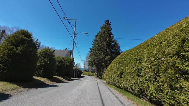 4K dashcam footage driving through a peaceful residential street lined with conifer hedges and bare birch trees under a bright blue spring sky in M&eacute;tis-sur-Mer, Quebec, Canada.