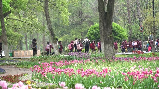 4K slow-motion real shot of students having a class outing in the park in spring