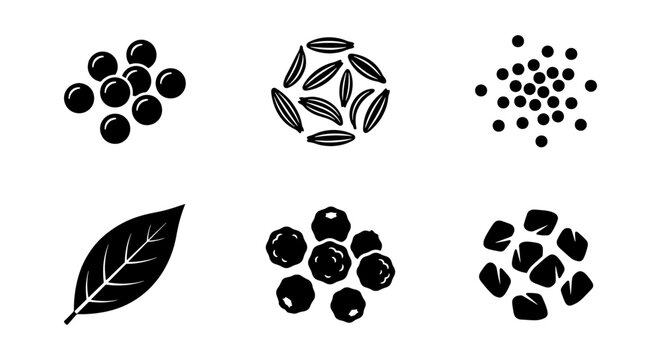 Spice Icons Collection: Black Pepper, Bay Leaf, Cumin Seeds, Coriander