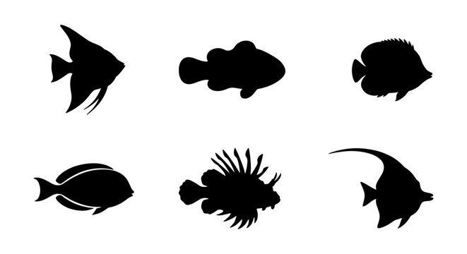 Vector Fish Silhouettes, Marine Life Icons, Aquatic Animal Shapes