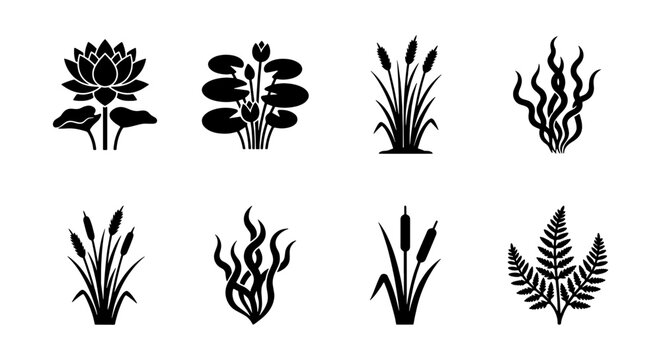 Water Plants Vector Icons: Lotus, Lily Pad, Reeds, Ferns, Aquatic Flora