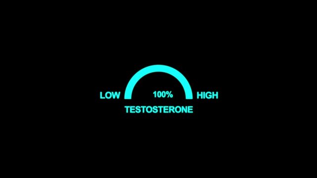 Animation testosterone level metering. Testosterone hormone speedometer, indicators.Testosterone Level Meter. Hormone Testosterone speedometer indicator. motion graphic of speedometer concept.