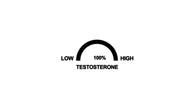 Animation testosterone level metering. Testosterone hormone speedometer, indicators.Testosterone Level Meter. Hormone Testosterone speedometer indicator. motion graphic of speedometer concept.