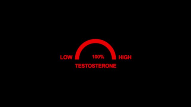 Animation testosterone level metering. Testosterone hormone speedometer, indicators.Testosterone Level Meter. Hormone Testosterone speedometer indicator. motion graphic of speedometer concept.