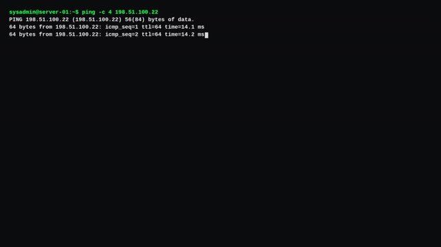IT sysadmin Linux terminal pinging network server for cybersecurity diagnostics