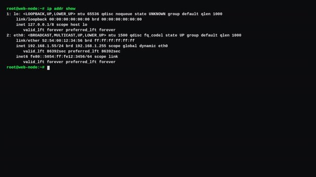 Advanced Linux command line showing ip addr network interface details for cloud server management