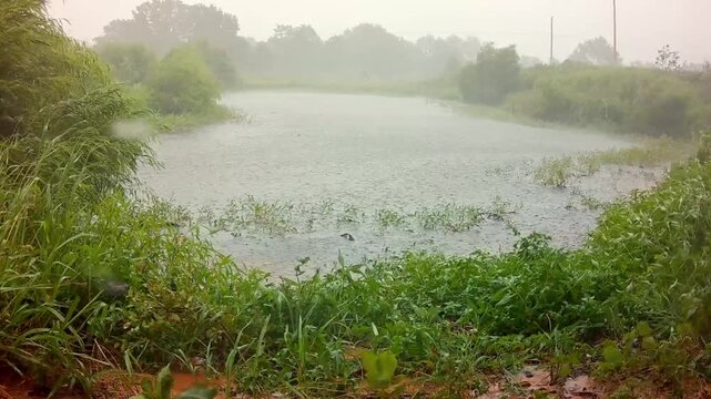 View of a rural pond during a thunderstorm and driving rain in late summer