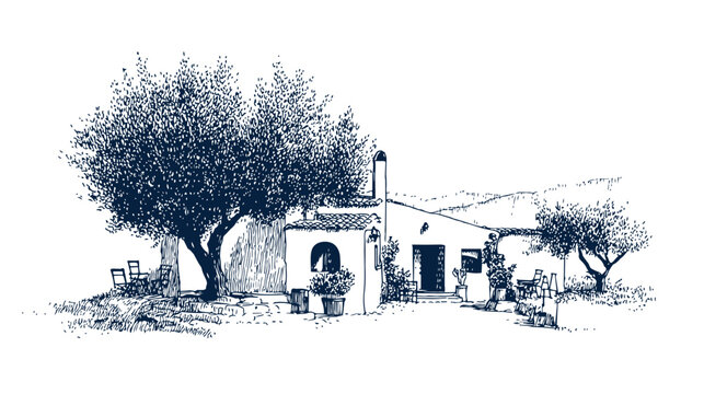Olive trees landscape sketch, mediterranean countryside house illustration