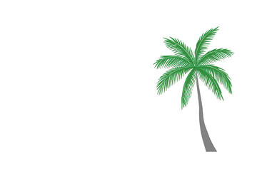 Obraz premium Green palm tree creating a tropical vacation feeling, isolated exotic plant for summer holidays and travel concepts