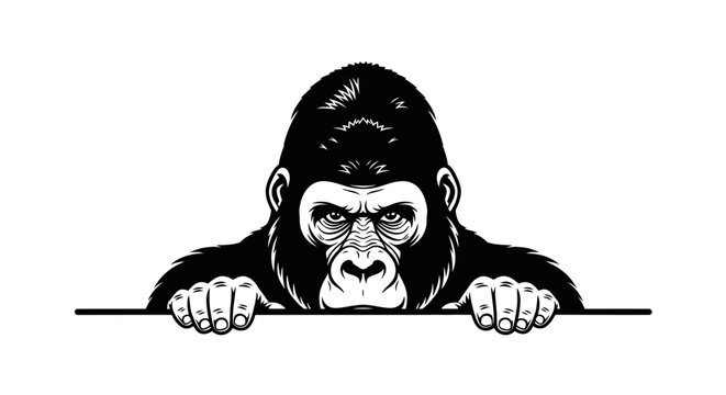 Peeking Gorilla Face - Intense Stare, Black and White Illustration