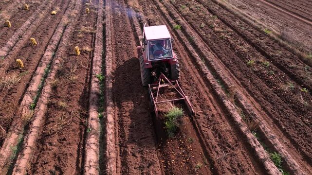 Drone footage of a tractor harvesting potatoes across cultivated farmland while agricultural workers collect crops into sacks. The aerial perspective highlights mechanized farming, crop harvesting, ru