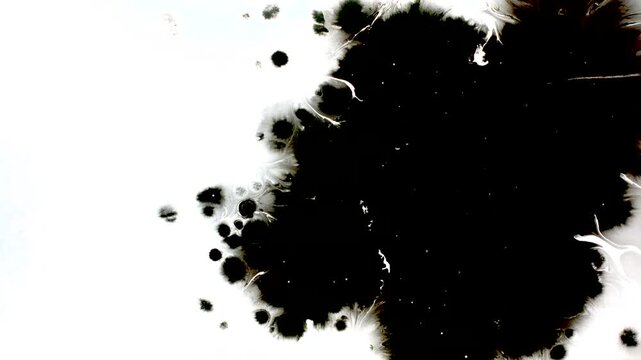Black Ink Splash and Organic Diffusion Motion