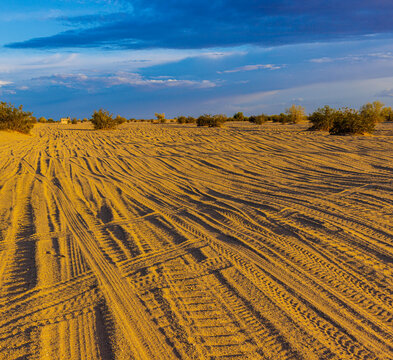 OHV Tracks Across The Golden Algodones Sand Dunes, Imperial Sand Dunes National Recreation Area, California, USA