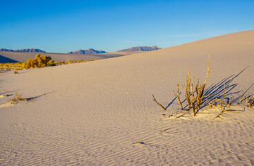 Morning Light on The White Sand Dunes With The San Andres Mountains, White Sands National Park, New Mexico, USA © Billy McDonald