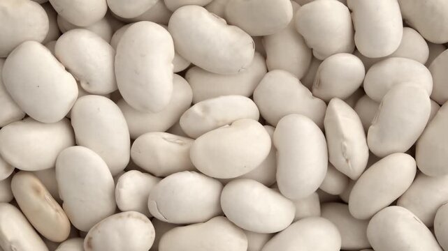 White beans rotate slowly in top-down layout on neutral background.