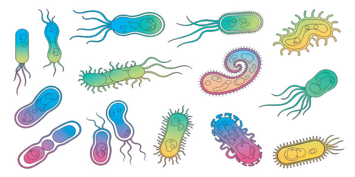 Colorful bacteria and germs illustration.