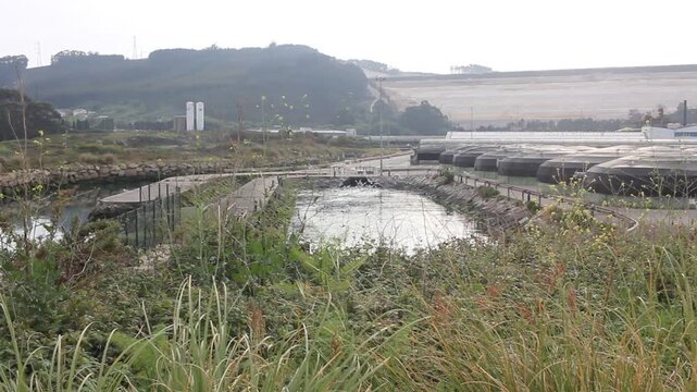 Industrial landscape of San Cibrao fish farm with Alcoa red mud dam background.