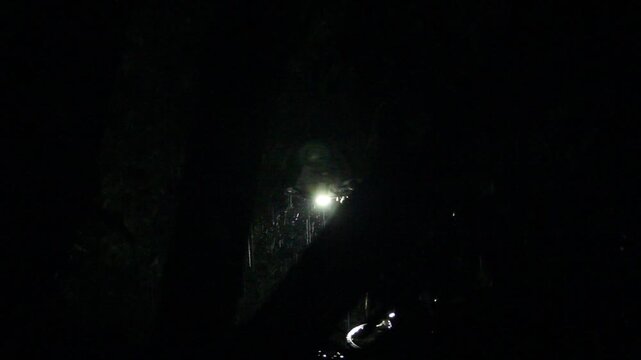 This video shows the rain falling gently among the leaves of a tree in the middle of the night, illuminated by the white light of a lamp.