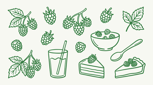 Collection of hand-drawn raspberry illustrations including berries, leaves, juice, cake, and cereal.