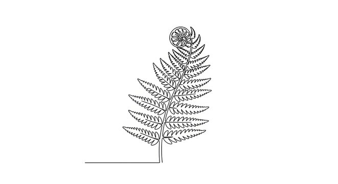 Fern Frond Botanical Nature Illustration