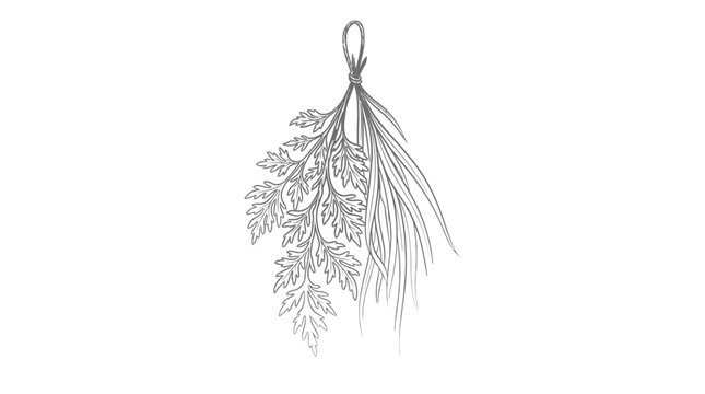 Bunch of fresh rosemary herbs tied.