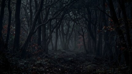 Fototapeta premium Old wooden bridge in dark misty forest at night