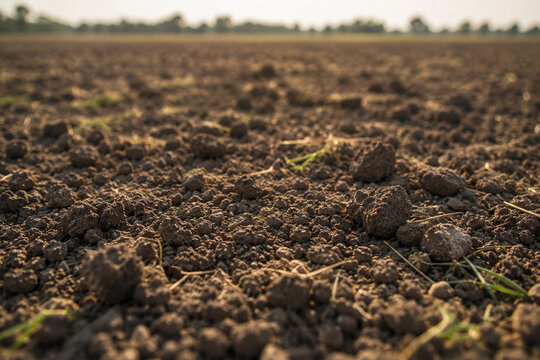AI generated dry farm soil texture with rough earth surface natural sunlight and agricultural landscape background in warm earthy tones