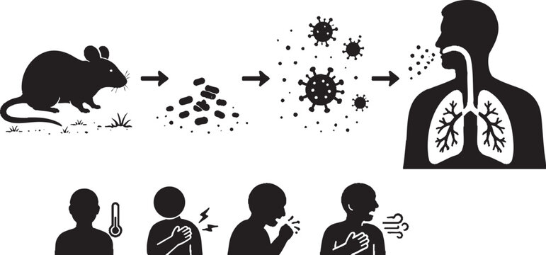 Hantavirus Pulmonary Syndrome and Mouse Transmission, Vector, Silhouette