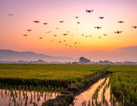 大群のドローンが水田の夕暮れ空を飛行する農業テクノロジー