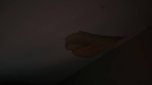 A Water Spot on the Ceiling of a Dark Bedroom