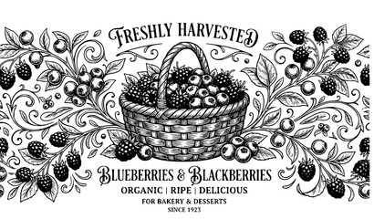 Hand drawn berry basket seamless vector banner with blueberries and blackberries isolated on white © Md