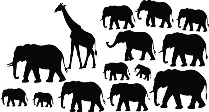 African Elephant and Giraffe Silhouette Collection with Wildlife Animal Shapes Isolated on Gray Background