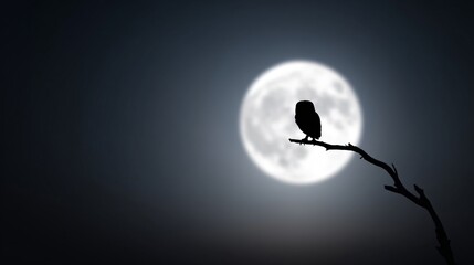 Obraz premium owl silhouette against moonlight sky, nocturnal wildlife theme, negative space composition, cinematic atmosphere, symbolic conservation imagery, fine art nature photography